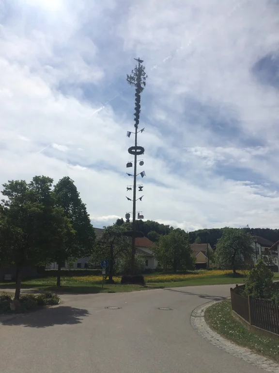 Maibaum.jpg